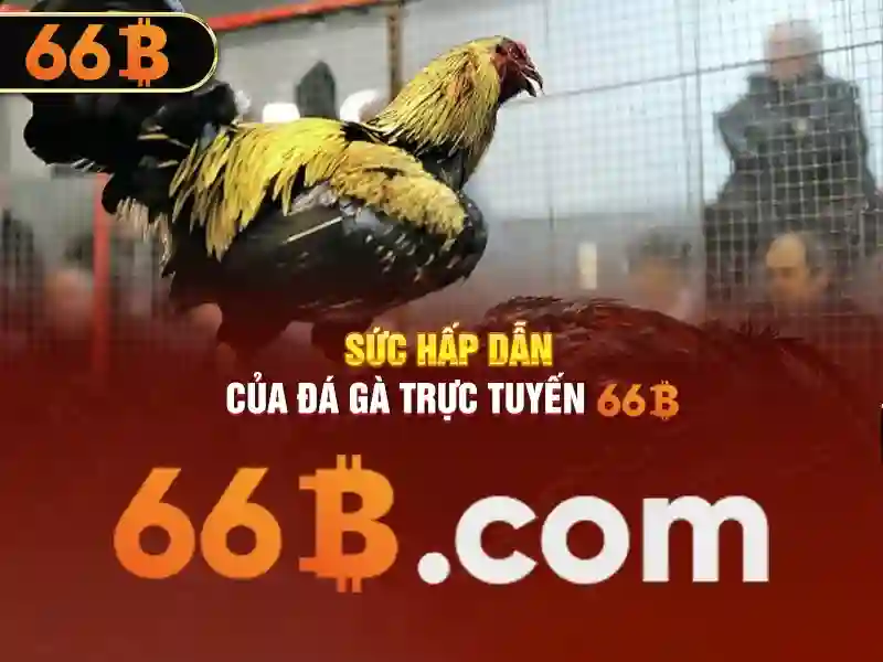 Vẫn còn thách thức khi làm việc với 66b