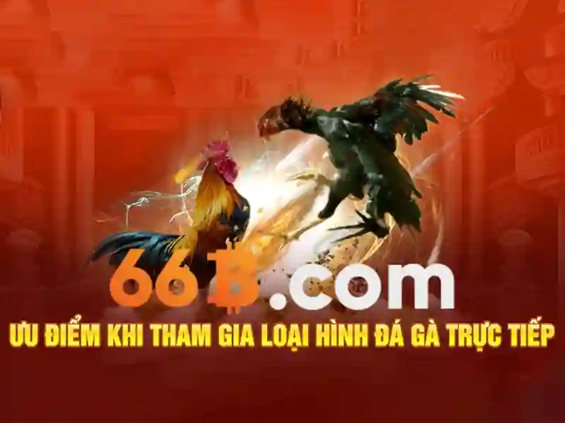 Đặc điểm kỹ thuật chính Đặc điểm kỹ thuật chính