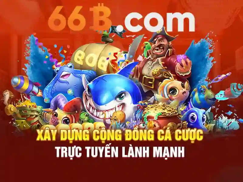 Nhanh chóng tổng quan về 66b\n