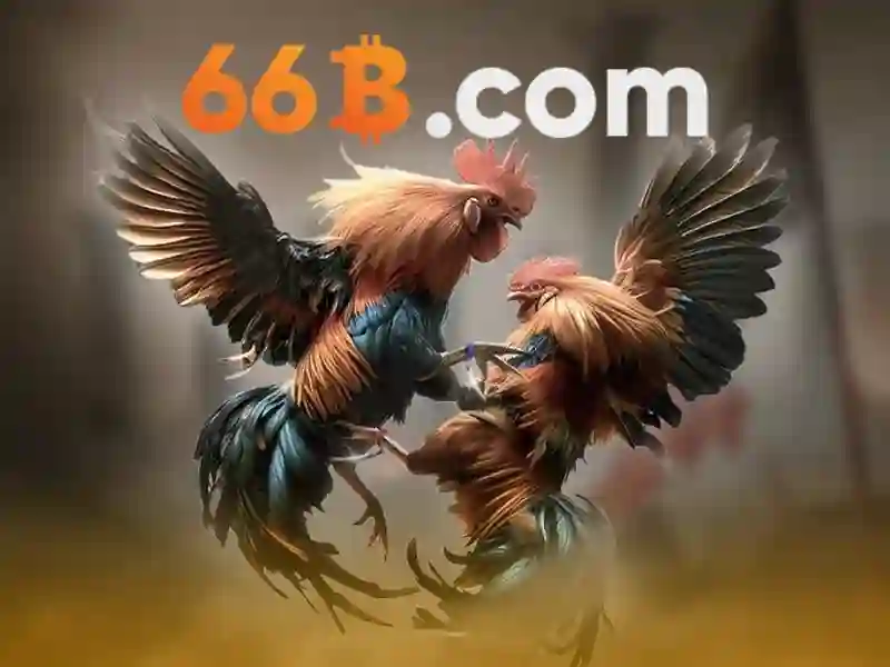 66b là gì?\n