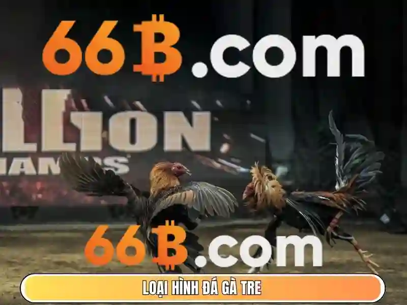 66b trong công nghệ và dữ liệu