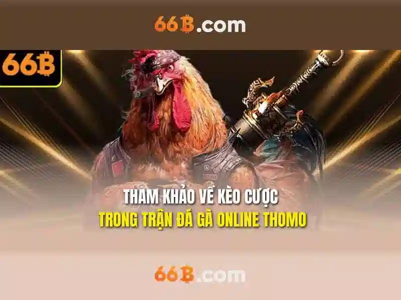 66b là gì?