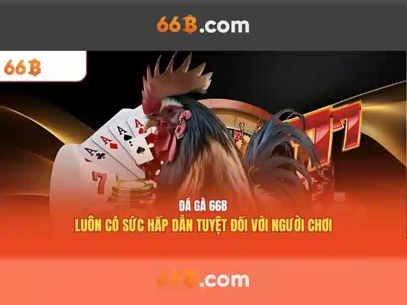 Hiệu suất và kiến trúc của 66b