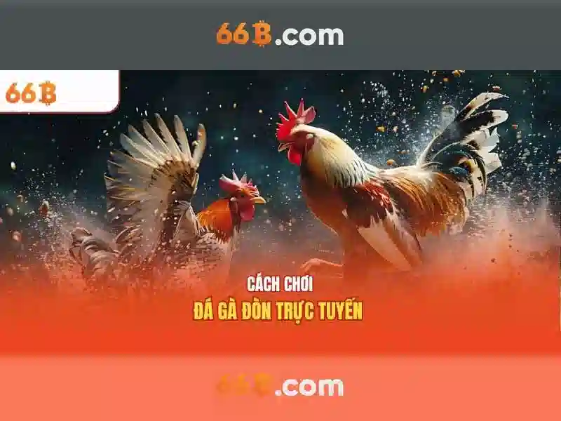 Ung dung thuc te