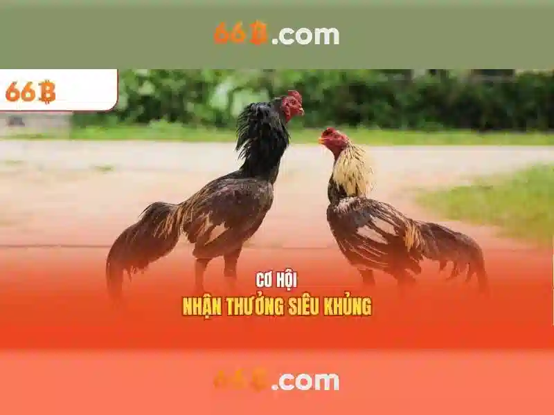 Việt Vị Trong Bóng Đá