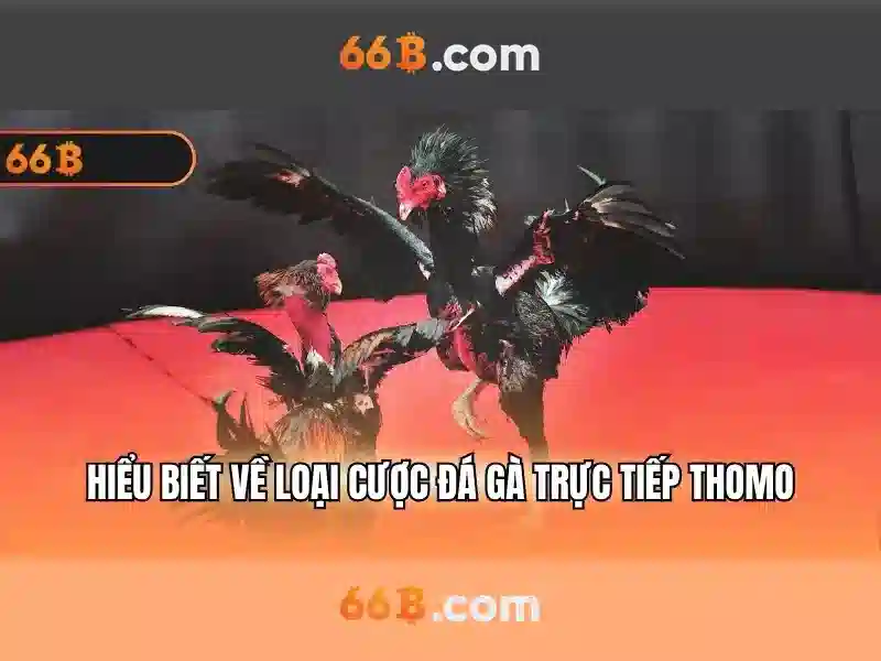 Kết luận và triển vọng