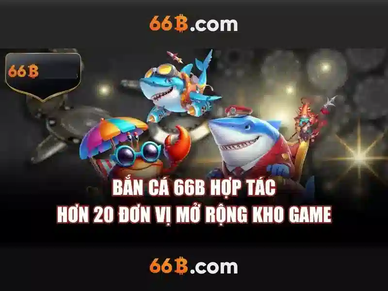 66B là gì và tại sao được quan tâm