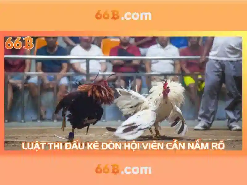 Việt Vị Trong Bóng Đá