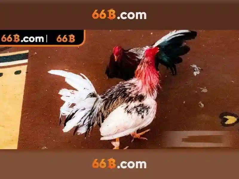 Ứng dụng và tiềm năng của 66b