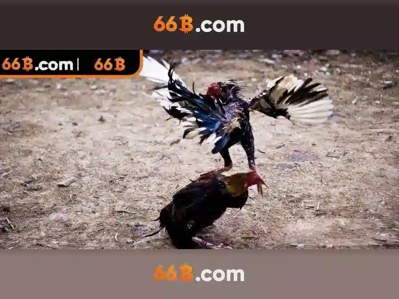 Việt Vị Trong Bóng Đá
