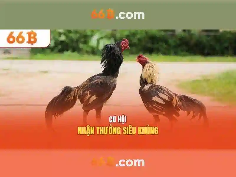 Bull Bull trực tuyến