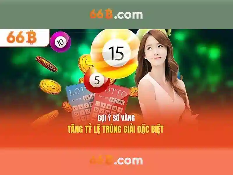 66b là gì?\n