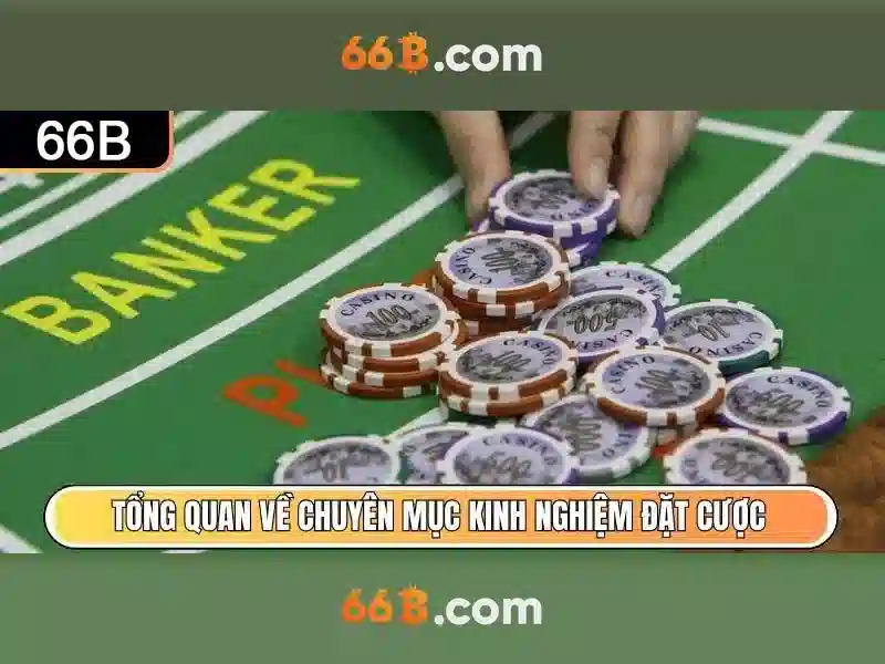 Kiến trúc và hiệu suất