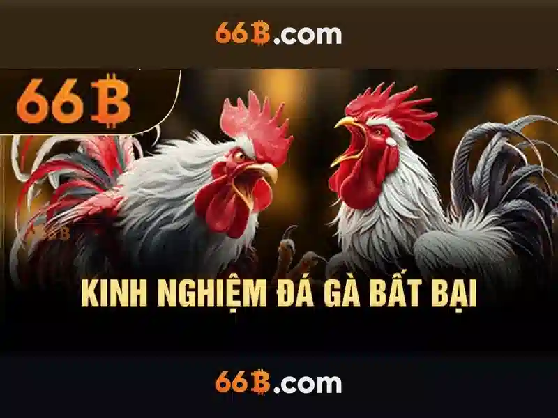 So sánh với những mô hình khác\n So sánh với những mô hình khác\n