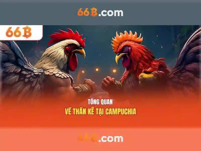 Ví dụ thực tế về 66b\n\n