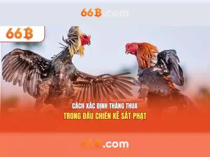 Ứng dụng tiềm năng