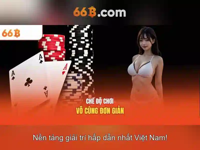 66B là gì và vì sao nó được quan tâm