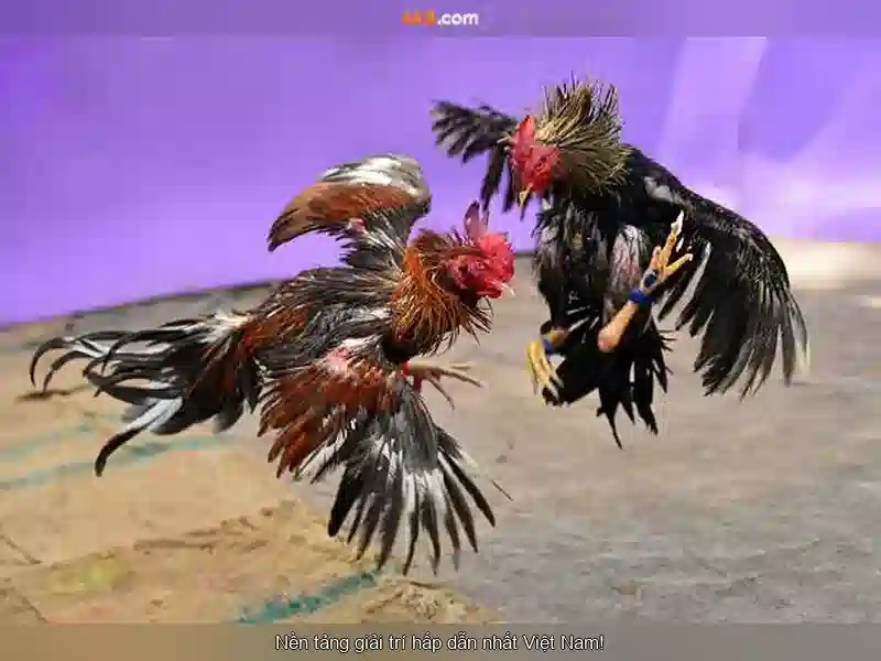 Việt Vị Trong Bóng Đá