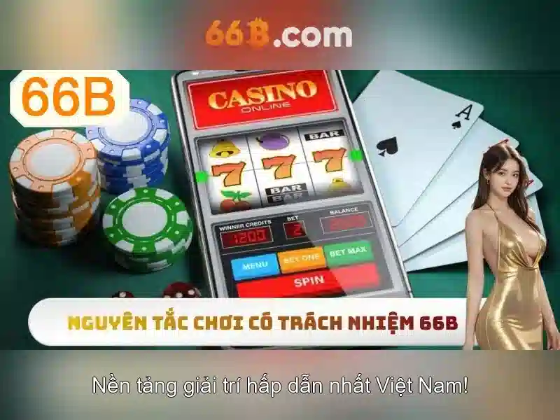 sources shein shein 66b may – tổng quan chủ đề và giá trị  