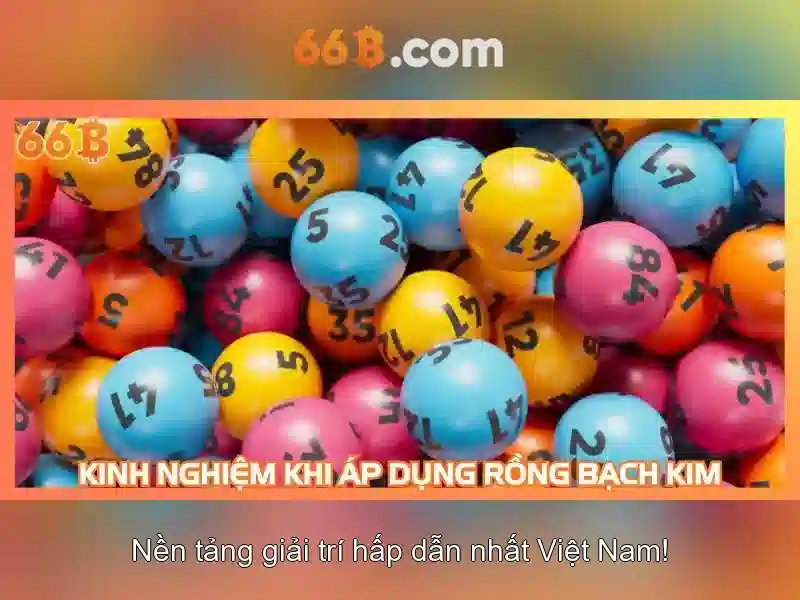 Giới thiệu về 66B