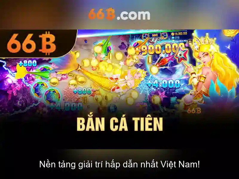 Đánh giá hiệu suất và đo lường