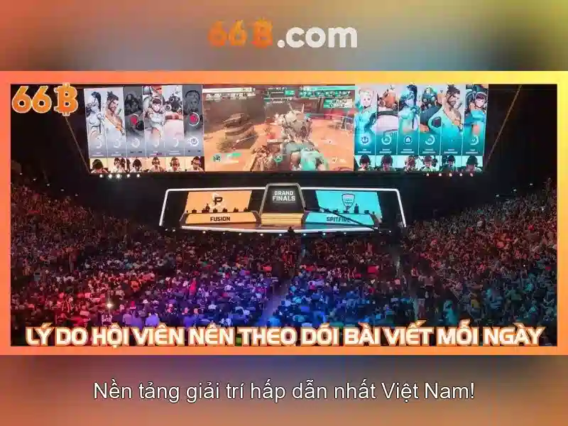 66B là gì? 66B là gì?