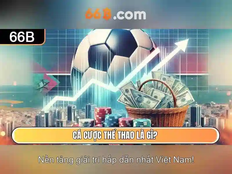 66B là gì?