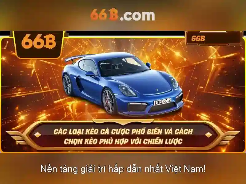 Đặc điểm nổi bật và khả năng của các mô hình 66B