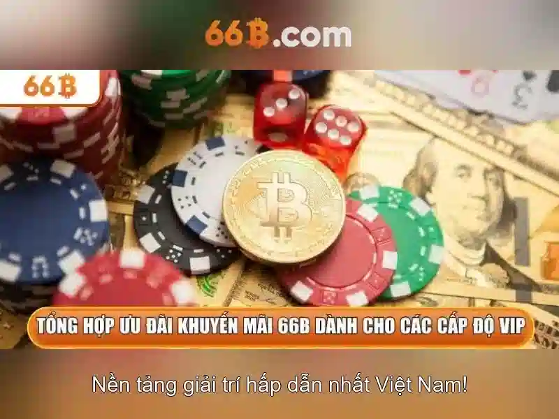 Trải nghiệm người dùng và phản hồi cộng đồng Trải nghiệm người dùng và phản hồi cộng đồng