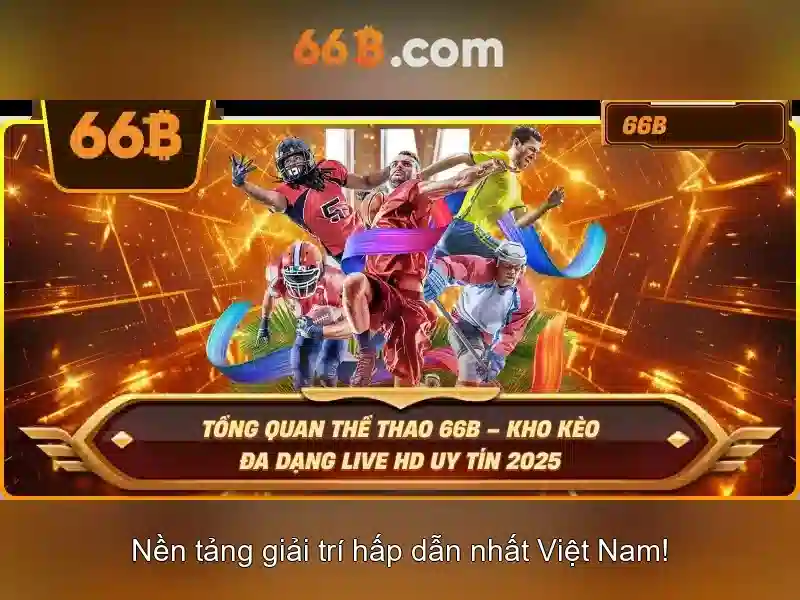 66b trong công nghệ và phần cứng