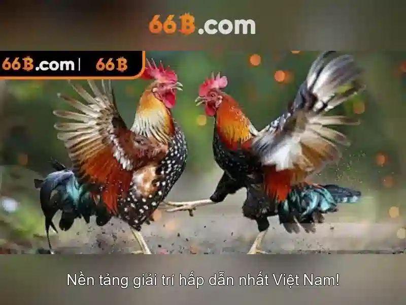 Thách thức và cân nhắc đạo đức