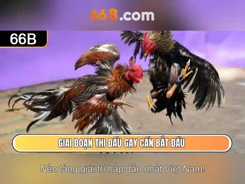Nguồn gốc và ý nghĩa