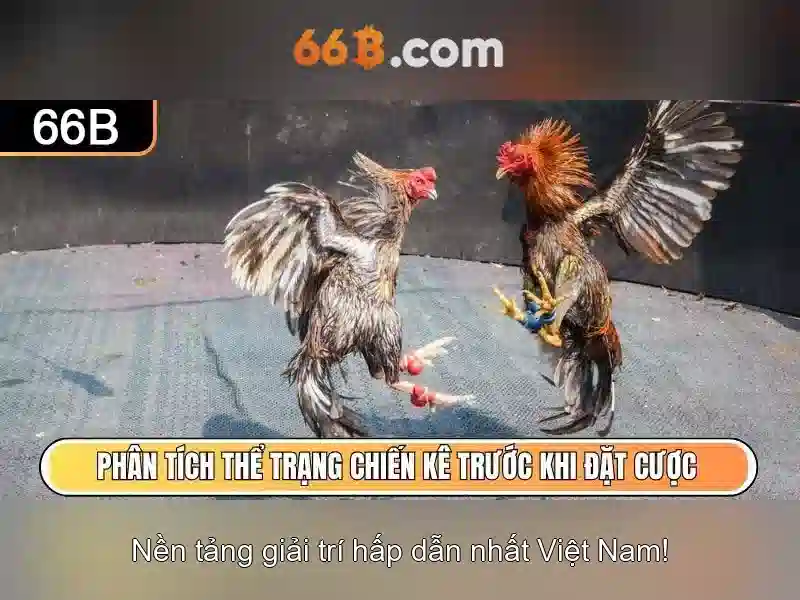Nguồn gốc và ý nghĩa của ký hiệu 66b\n