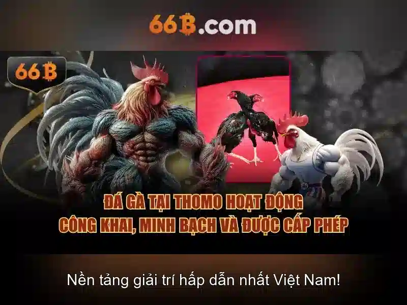 66B và giới thiệu tổng quan về mô hình ngôn ngữ lớn 66B\n
