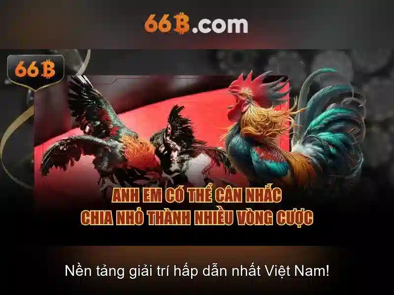 Kiến trúc và cách hoạt động