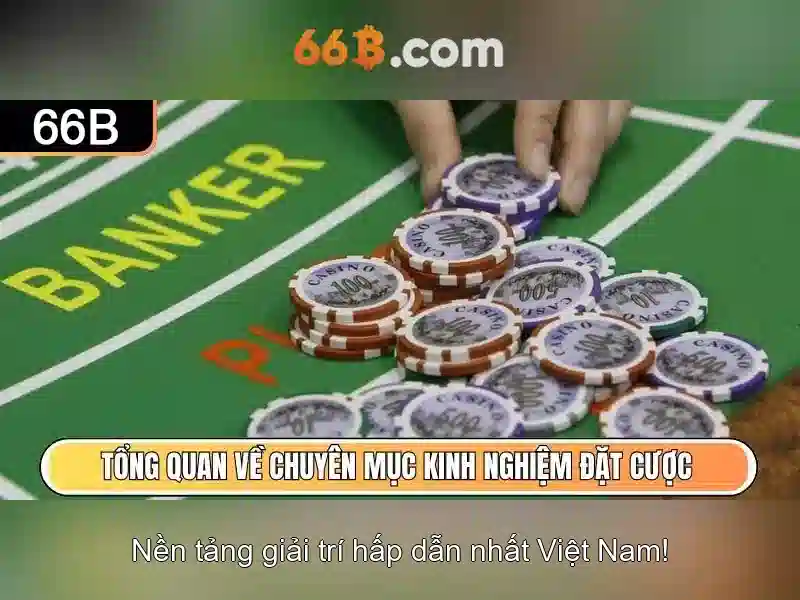 Thông số kỹ thuật của 66b