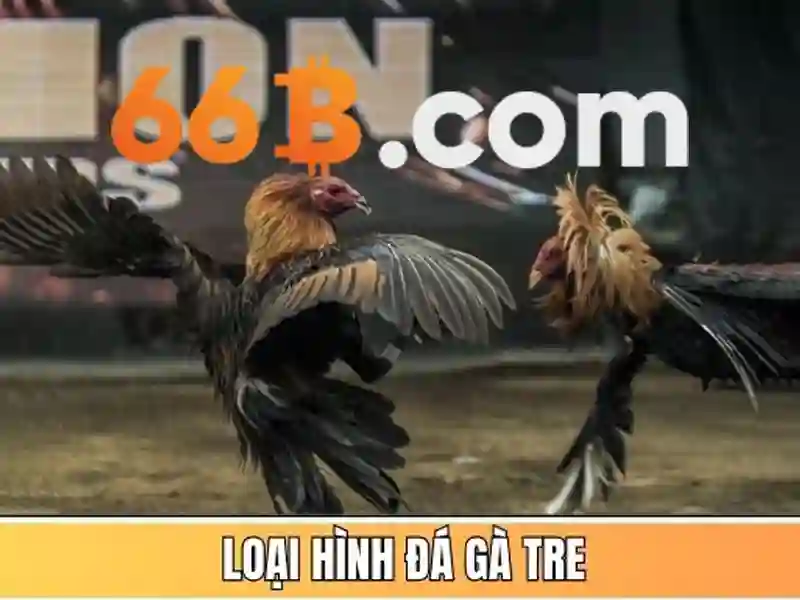 Kiến trúc và tham số