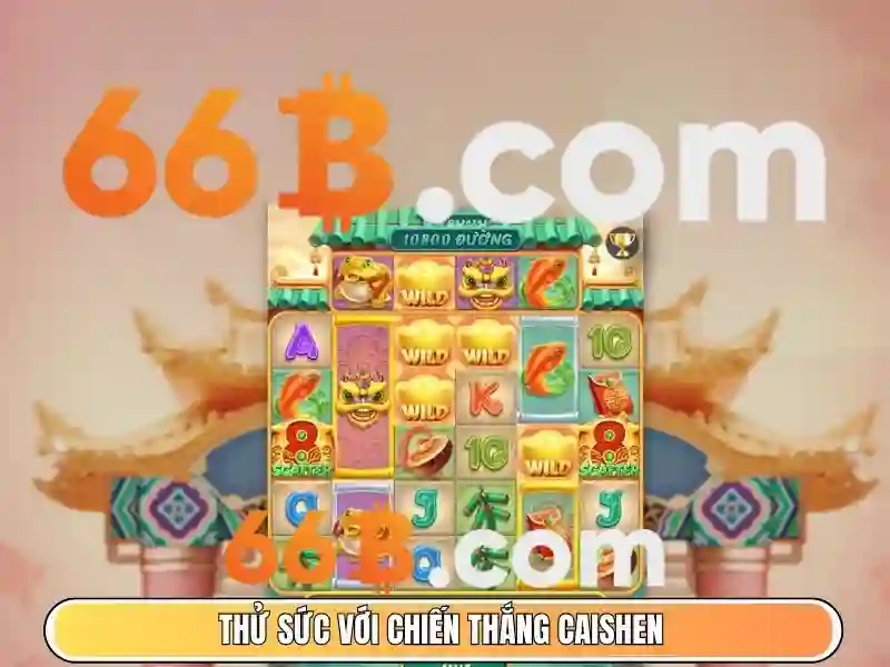 Hiệu suất và ứng dụng 