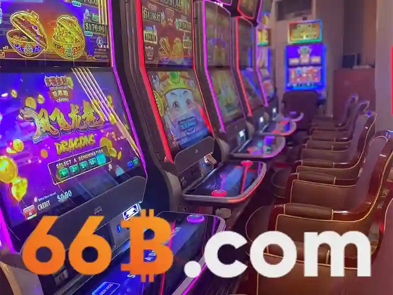 66B là gì?