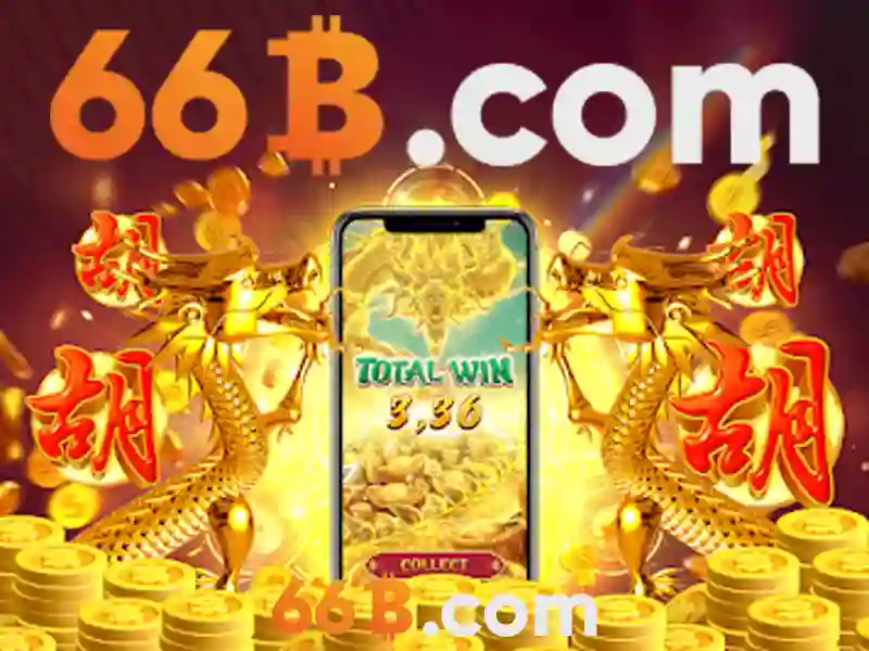 66b là gì\n